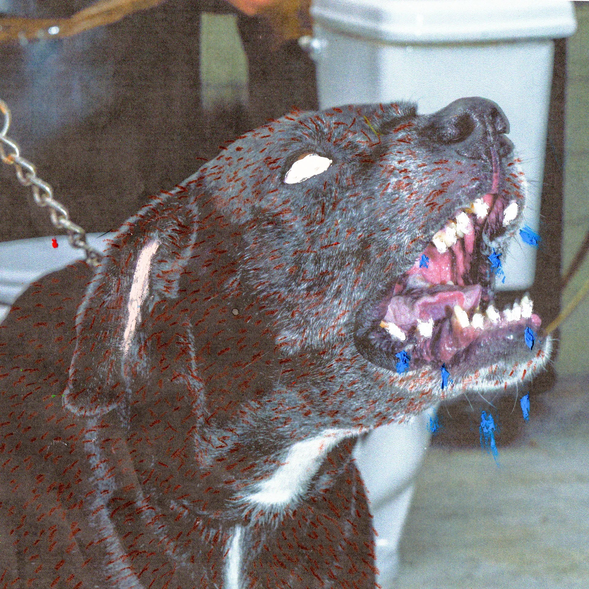 WOOF